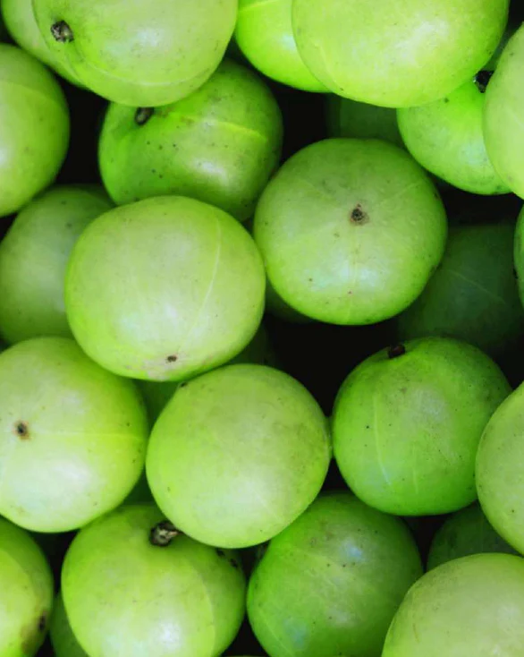 Amla Volume 50ml Luxusgröße - Image 3