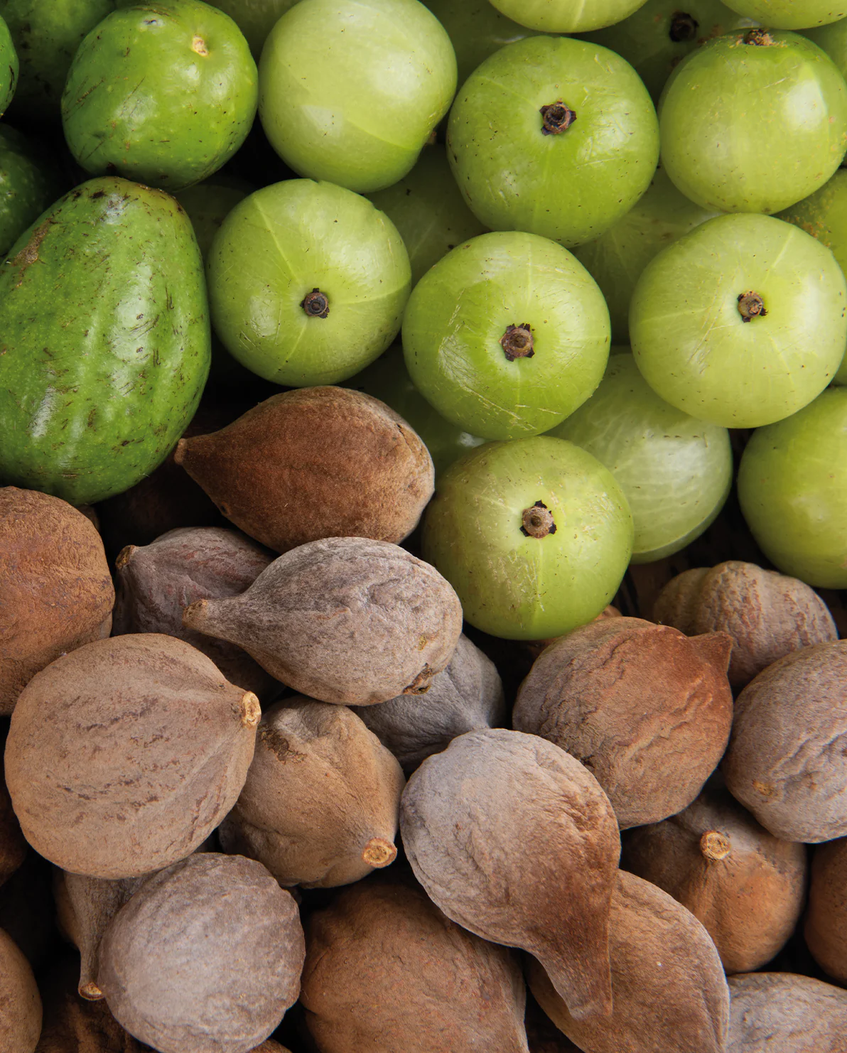 Triphala Flow-Set - Image 5
