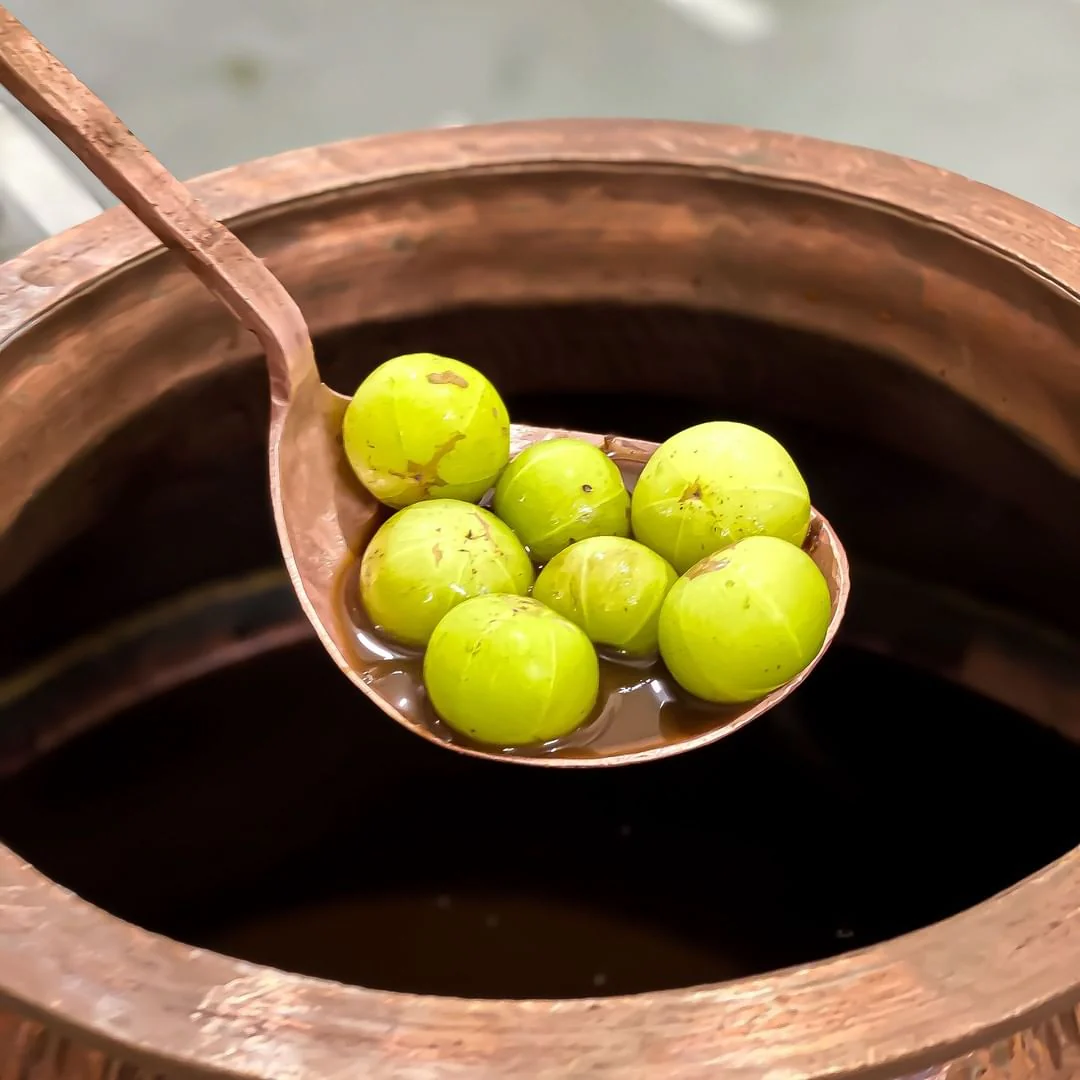 Amla Volume - Image 5